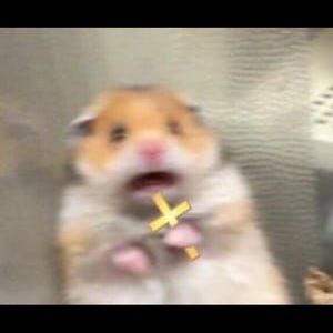 Meet your Posher, Nisha